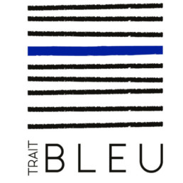 Architecte d'intérieur Nantes - Trait Bleu